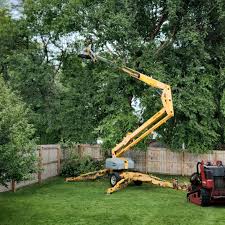 Best Organic Lawn Care Solutions  in Montezuma, IA